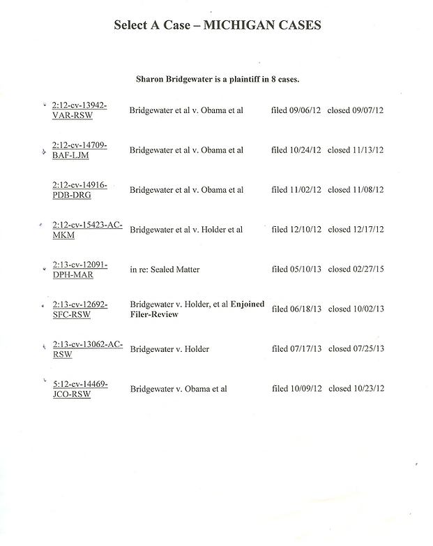 bridgewatervsobamamichigancases001.png